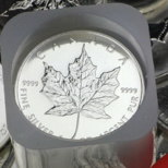 Tube 25 pièces argent Maple Leaf